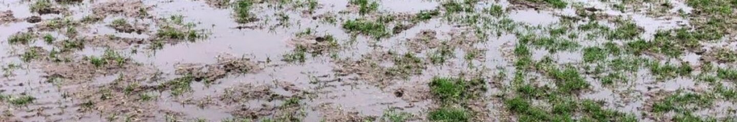 Swinton game called off