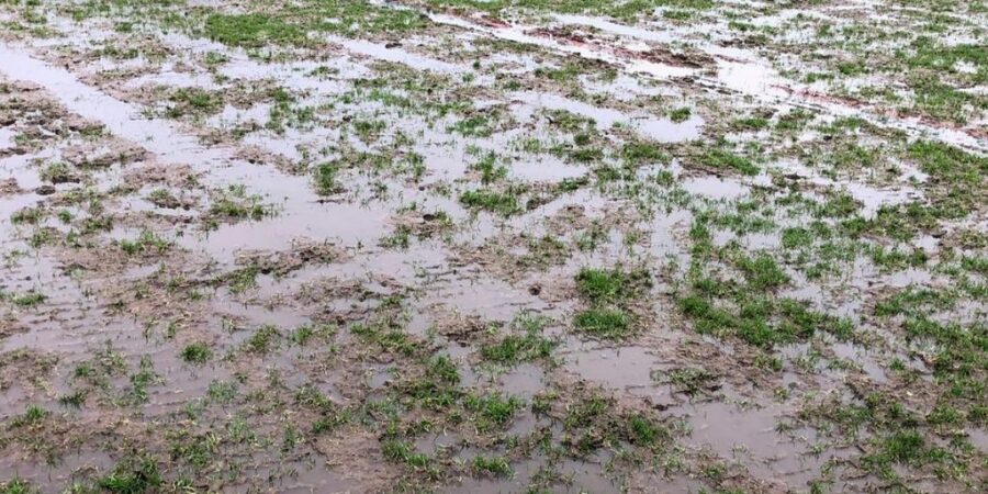 Swinton game called off