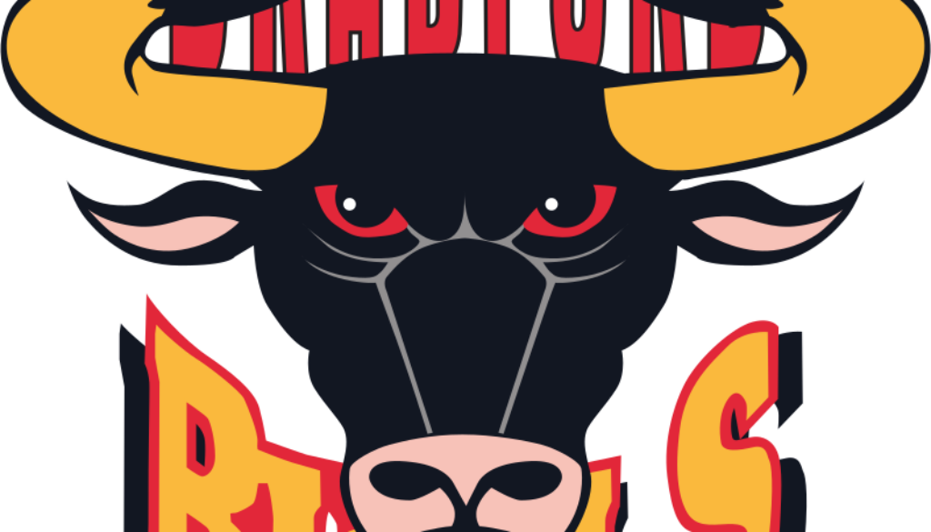 Bradford Bulls